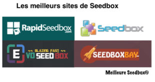 Critères Seedbox choix