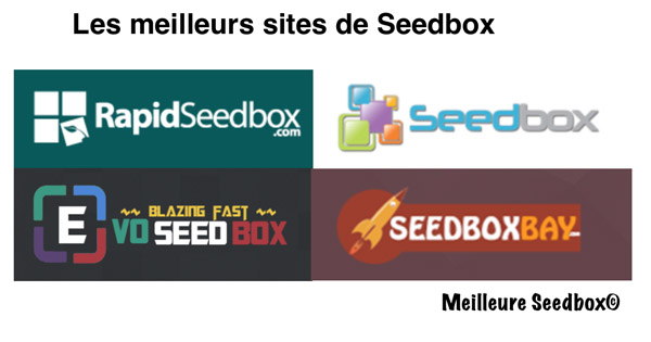 Meilleures seedbox pourquoi choisir ?