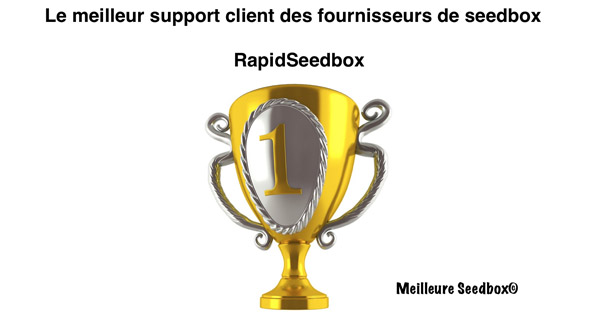 Support client fournisseur seedbox