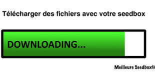 Télécharger film avec seedbox
