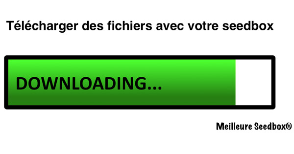 Télécharger film avec seedbox