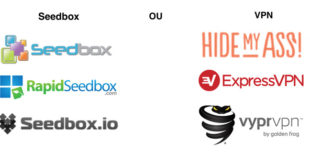 Seedbox ou VPN pour télécharger